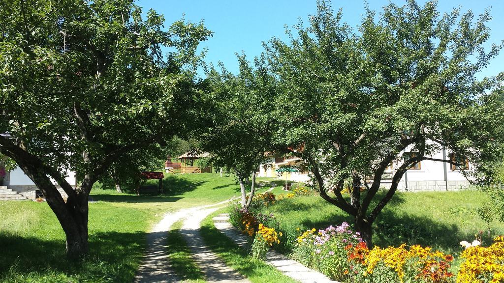 Pensiunea Laura Bran  Dış mekan fotoğraf